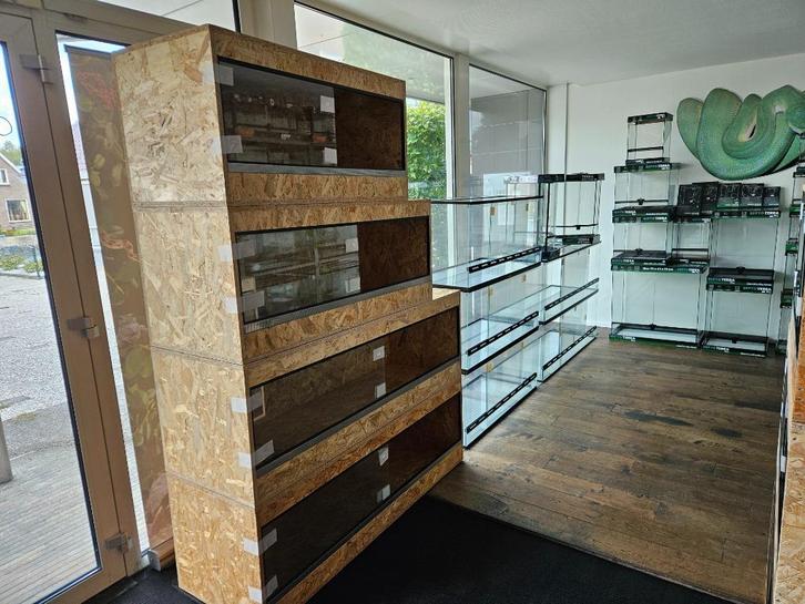 Terrarium Nieuw, Dieren en Toebehoren, Reptielen en Amfibieën | Toebehoren, Nieuw, Terrarium of Paludarium, Ophalen