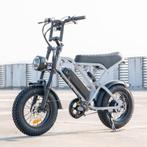 Fatbike V20 Mini grijs, Fietsen en Brommers, Zo goed als nieuw, 59 cm of meer, 50 km per accu of meer, Ophalen