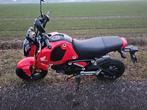 Honda MSX 125 A1 rijbewijs 2022 Rood GROM Monkey camper, Motoren, Bedrijf, 125 cc, 1 cilinder, Minimaal motorrijbewijs A1