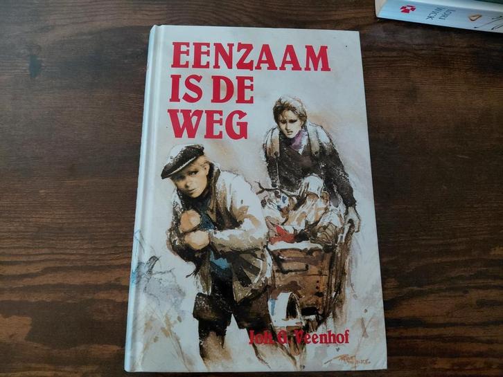 J. .G. Veenhof - Eenzaam is de weg, Boeken, Streekboeken en Streekromans, Zo goed als nieuw, Noord-Brabant, Ophalen of Verzenden