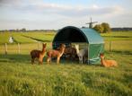 Schuilstal,Weidetent, voor paarden, alpaca, koe 3x3.6m Nieuw, Dieren en Toebehoren, Toebehoren, 2 of 3 paarden of pony's