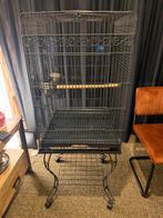 Complete Verrijdbare Papegaai / Parkieten kooi, Dieren en Toebehoren, Ophalen, Metaal, Vogelkooi
