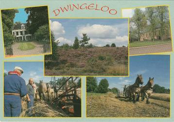 DWINGELOO Landgoed Oogst Heide Kerk Paarden  beschikbaar voor biedingen