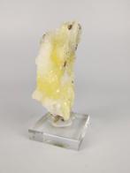 Bruciet, Ophalen of Verzenden