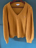 Fabienne Chapot trui, Kleding | Dames, Overige kleuren, Maat 42/44 (L), Ophalen of Verzenden, Zo goed als nieuw