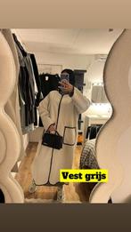 Vest in grijs in beige, Ophalen, Nieuw, Beige
