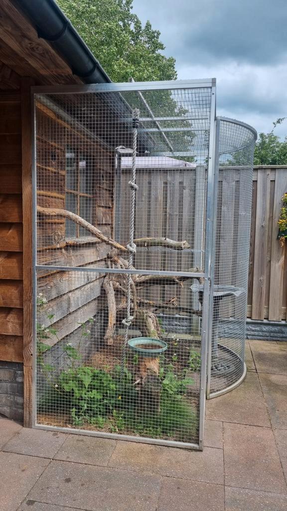 Volière, Dieren en Toebehoren, Vogels | Hokken en Kooien, Zo goed als nieuw, Volière, Hout, Ophalen