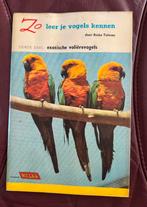 RIZLA zo leer je vogels kennen, Ophalen of Verzenden, Gelezen, Vogels