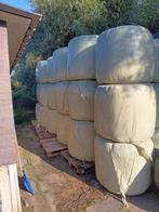 Midi hooibalen in plastic, Ophalen, Vee