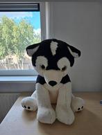 Grote knuffel Husky hond 80 cm, Ophalen, Zo goed als nieuw, Hond