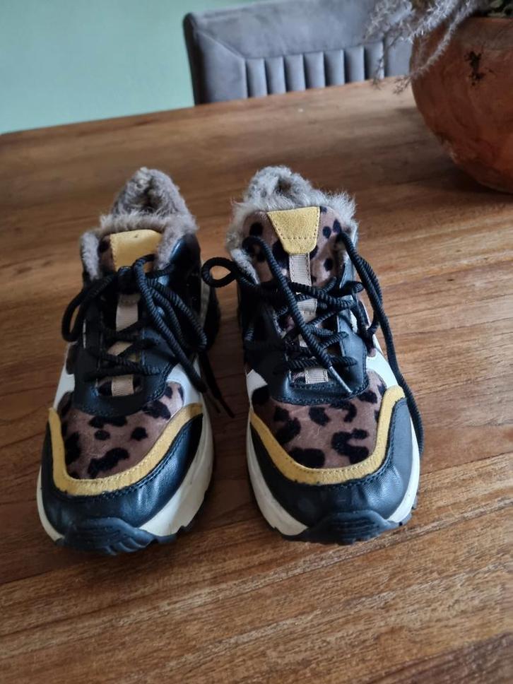 Leuke Sneakers s Oliver met luipaardprint. Maat 39, Kleding | Dames, Schoenen, Zo goed als nieuw, Sneakers of Gympen, Overige kleuren