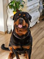 VERSCHILLENDE JAREN UNC SETS SAN MARINO BIJ JOHN, Postzegels en Munten, Munten | Europa | Euromunten, Verzenden, San Marino, Overige waardes