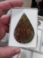 Grote peer geslepen ammoliet, Verzamelen, Mineralen en Fossielen, Ophalen of Verzenden