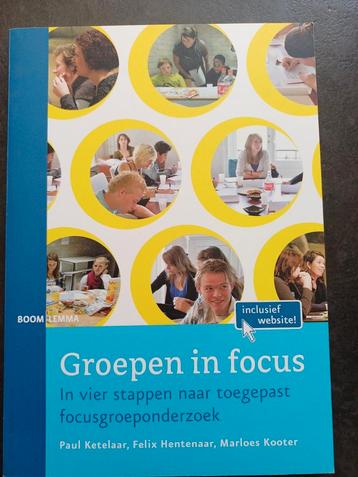Paul Ketelaar - Groepen in focus beschikbaar voor biedingen