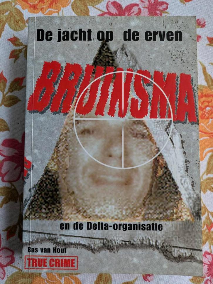 De jacht op de erven Bruinsma - Bas van Hout, Boeken, Thrillers, Zo goed als nieuw, Nederland, Ophalen of Verzenden