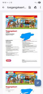 4 intree kaarten voor uithof, Twee personen, Ticket of Toegangskaart