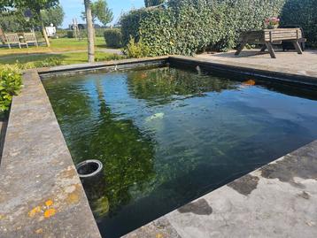 Koivijver met RedLabel Aquaking Combifilter beschikbaar voor biedingen