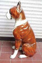 Boxer, porselein, Ophalen