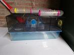 Hamster hok, Dieren en Toebehoren, Gebruikt, Minder dan 75 cm, Ophalen, Minder dan 60 cm