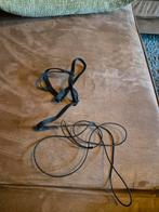 Papegaaien tuigje van Aviator, Mannelijk, Papegaai