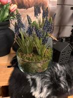 Zijde druifjes, Huis en Inrichting, Woonaccessoires | Kunstplanten en Kunstbloemen, Nieuw, Ophalen of Verzenden, Berrydegram@hotmail.com