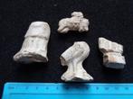 4 grote Pijpenaarden Fragmenten, Verzenden