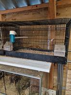 Broedkooien, Dieren en Toebehoren, Vogels | Hokken en Kooien, Ophalen, Gebruikt, Metaal, Broedkooi of Kweekkooi