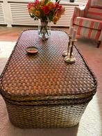Salontafel/ kist, Huis en Inrichting, Ophalen, Overige materialen, 100 tot 150 cm, 50 tot 100 cm