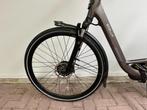 Stella Livorno Dames dark grey 58cm 2022, 56 cm of meer, Gebruikt, Overige merken