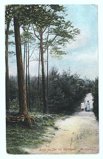 901488	Berg en Dal	bij Nijmegen	Duivelsberg boom	1908	Gelope beschikbaar voor biedingen