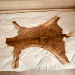 Afrikaanse dierenhuiden - Impala, Waterbok + 1, Gebruikt, 100 tot 150 cm, Bruin, Ophalen of Verzenden