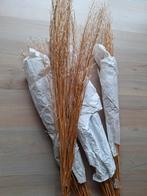 Droogbloemen, Ophalen of Verzenden, Nieuw