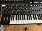 Moog Subsequent 37 - zgan, Muziek en Instrumenten, Ophalen, Zo goed als nieuw, Overige aantallen, Overige merken
