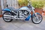 Harley Davidson VROD, Motoren, Motoren | Harley-Davidson, 2 cilinders, Chopper, 1130 cc, Particulier