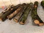 Eiken stam ruim 2 meter lang kachelhout, Ophalen, Eiken, Plank, 50 mm of meer