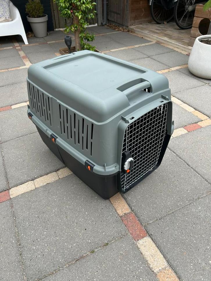 Grote hondenbench / vliegtuigvervoer izgs, Dieren en Toebehoren, Hondenbenches, Zo goed als nieuw, Ophalen of Verzenden