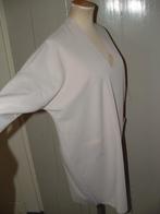 Rinascimento lichtroze (nude) korte jurk / tuniek maat S, Rinascimento, Ophalen of Verzenden, Zo goed als nieuw, Roze