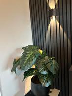 Kunst Monstera Gaten Plant - Mooie Decoratie met pot!, Ophalen, Overige soorten, Halfschaduw, In pot