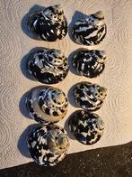 Nog wat mooiee gepolijste Turbo slakken( tijger motief), Ophalen of Verzenden, Nieuw, Overige materialen, Overige merken