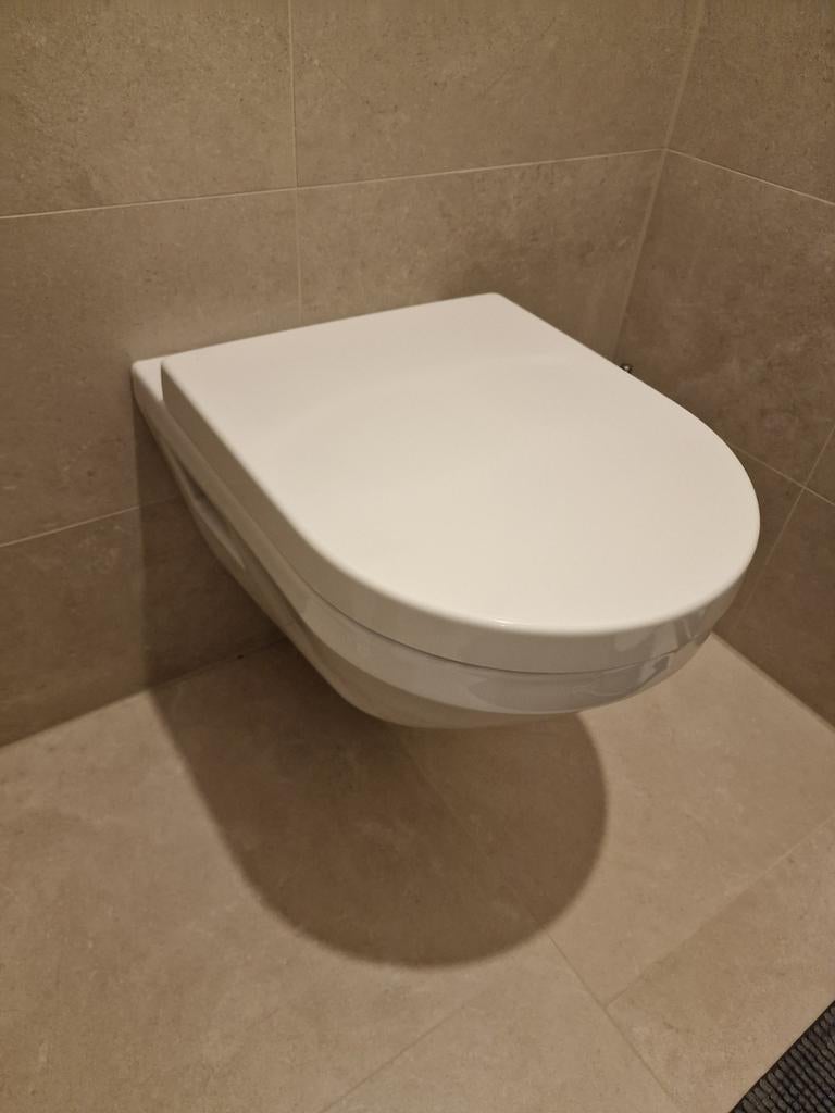 Te koop, zgan toiletpot met zitting, Villeroy & Boch, Ophalen, Zo goed als nieuw