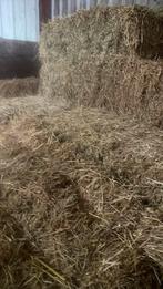 30 pakjes hooi onbemest, Dieren en Toebehoren, Ophalen, Vee