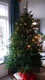 TriumphTree MatterhornFir kerstboom 185cm groen, Diversen, Kerst, Ophalen, Zo goed als nieuw