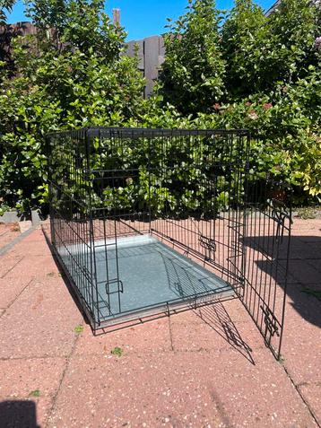 Puppy bench beschikbaar voor biedingen