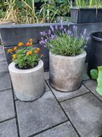 2 betonnen bloempotten, Ophalen, Gebruikt, Minder dan 30 cm, Minder dan 60 cm