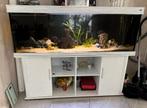 Mooi Trofis aquarium 180cm met filter, Ophalen, Zo goed als nieuw, Leeg aquarium