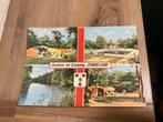 Ansichtkaart Roosendaal, camping zonneland, Ophalen of Verzenden, 1960 tot 1980, Noord-Brabant