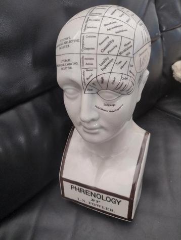 👉 Hoofd Phrenology  Read my Mind +/- 31 cm beschikbaar voor biedingen