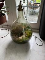 (nieuw 399, prijs 159) Spruitje ecosysteem + Lamp, Ophalen, Zo goed als nieuw