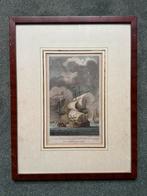 JACOBUS BUYS / GRAVURE / DE KAAPER DE VLISSINGER CAP, Antiek en Kunst, Kunst | Etsen en Gravures, Ophalen