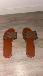Guess Slippers Maat 39, Ophalen of Verzenden, Zo goed als nieuw, Bruin, Slippers